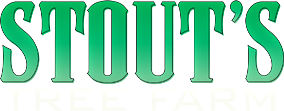 Stout's Tree Farm